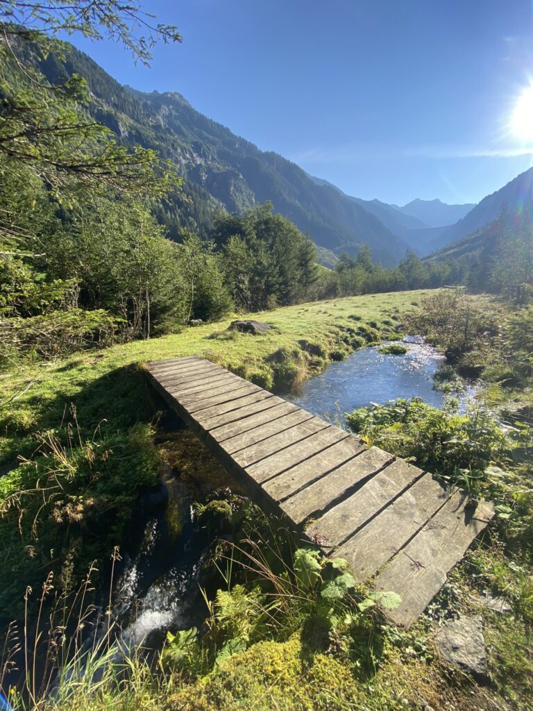 Durch den Zillergrund