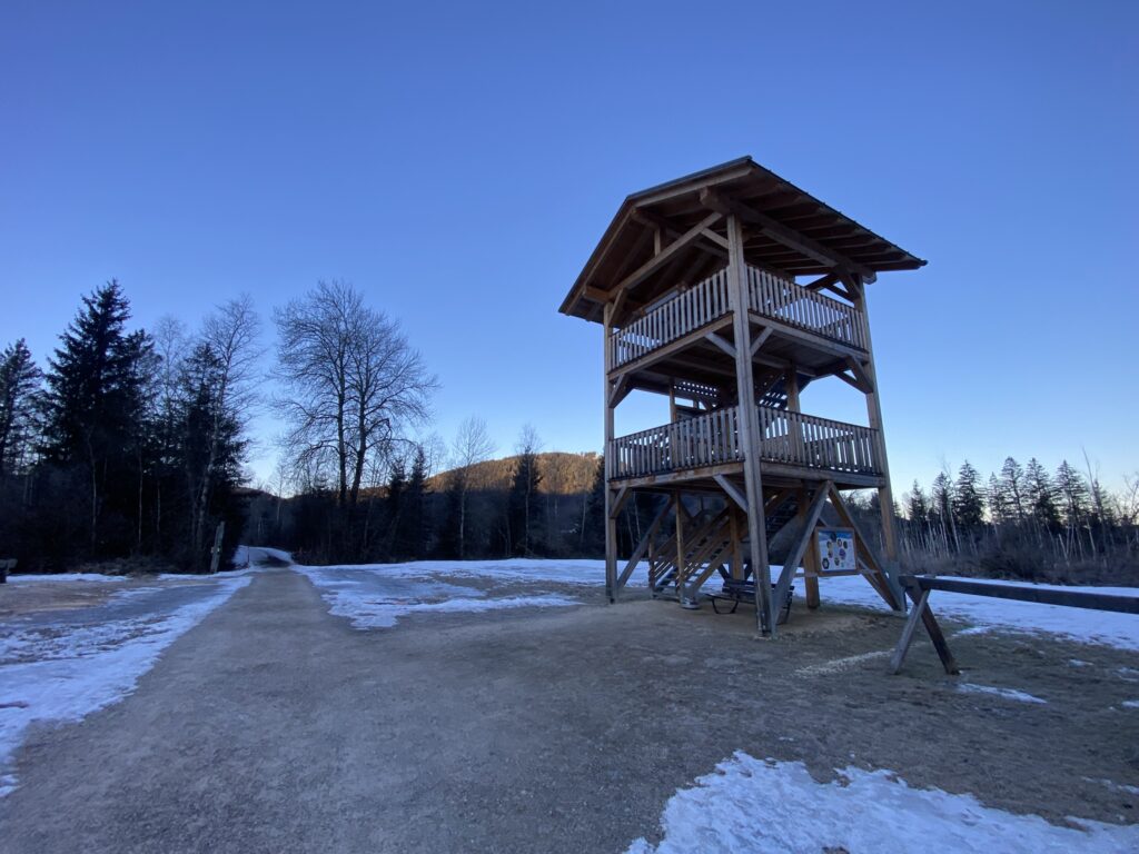 Aussichtsturm am Moor
